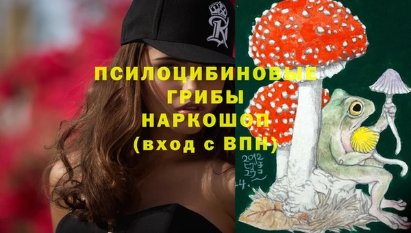 шишки Алексин