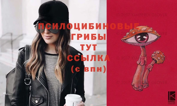 шишки Алексин