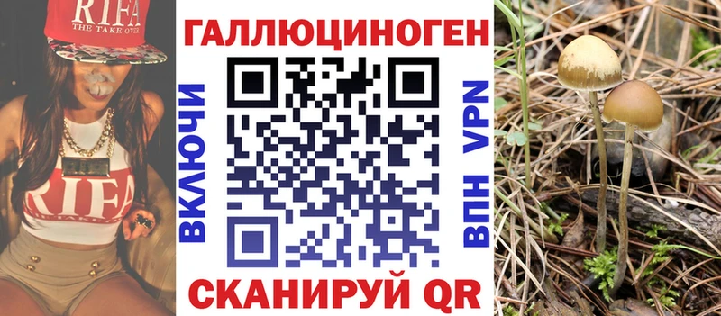Галлюциногенные грибы GOLDEN TEACHER  наркошоп  blacksprut ТОР  Славск 