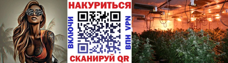 Бошки марихуана планчик  Славск 
